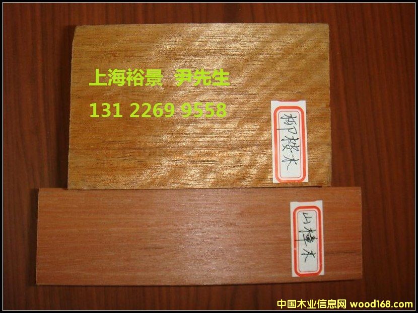 ����ľ��Ԕ����B