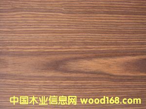 E.V��֦-808c��Ԕ����B