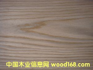 E.V����-406c��Ԕ����B