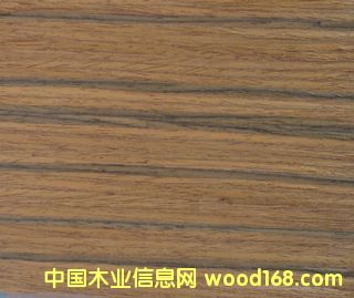 E.V��֦-826��Ԕ����B