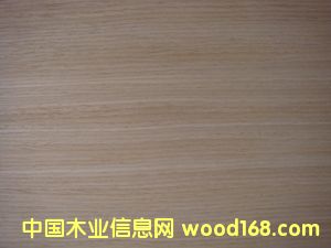 E.V����-416��Ԕ����B