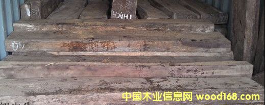 �ϓ��t��֦