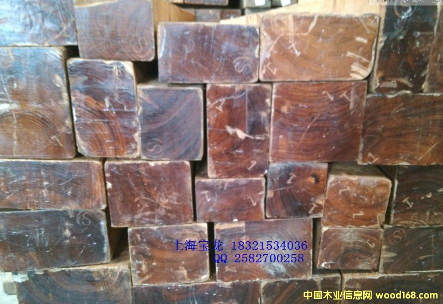 ������ľ��Ԕ����B