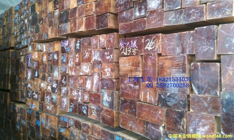 ������ľ��Ԕ����B