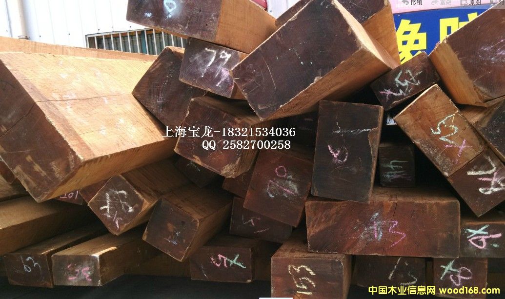 ������ľ��Ԕ����B