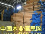 �c���鿴�S��ľ�Ŵ�DƬ
