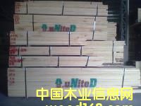 �c���鿴���Dľ�Ŵ�DƬ