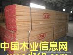 �c���鿴�t��ľ�Ŵ�DƬ