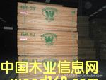 �c���鿴̫ƽ���ľ�Ŵ�DƬ
