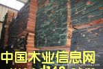 �c���鿴����ľ�Ŵ�DƬ