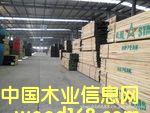 �c���鿴����ľ�Ŵ�DƬ