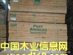 �c���鿴����ľ�Ŵ�DƬ