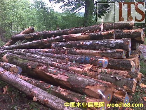 ��ľԭľ��Ԕ����B