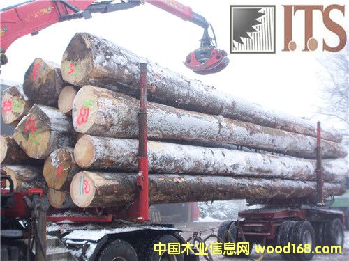 ��ɼԭľ��Ԕ����B