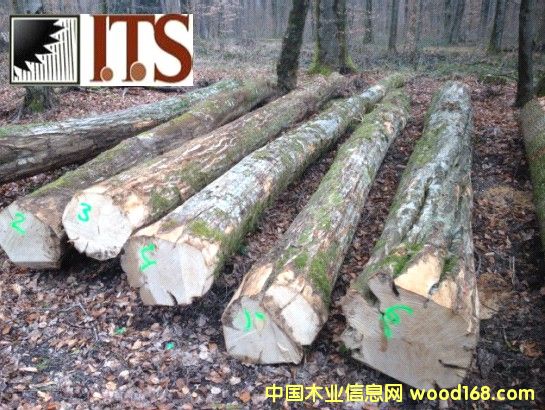 ǧ���ܣ��Z������ԭľ��Ԕ����B