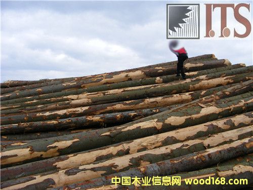 ��ɼԭľ��Ԕ����B