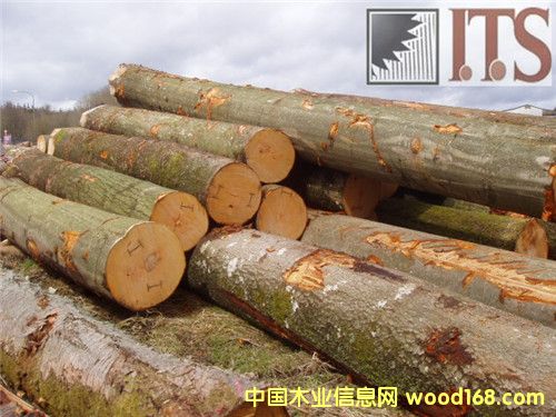 ��ľԭľ��Ԕ����B