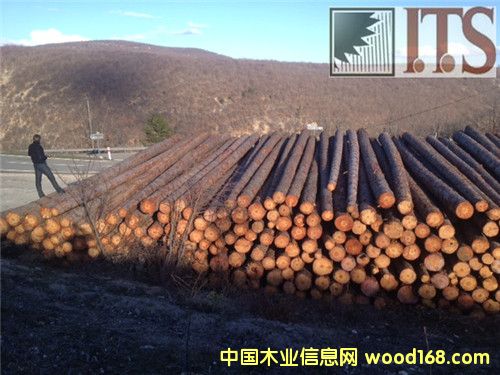 ������ԭľ��Ԕ����B