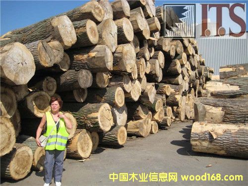 ��ľԭľ��Ԕ����B