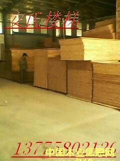 ָ�Ӱ��Ԕ����B