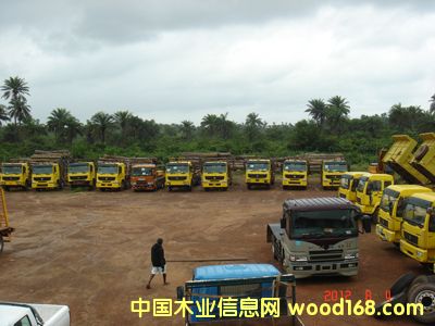 ����ԭľ �ш����I��Ԕ����B