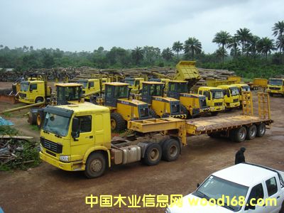 ����ԭľ �ш����I��Ԕ����B