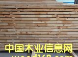 ���ɲ�