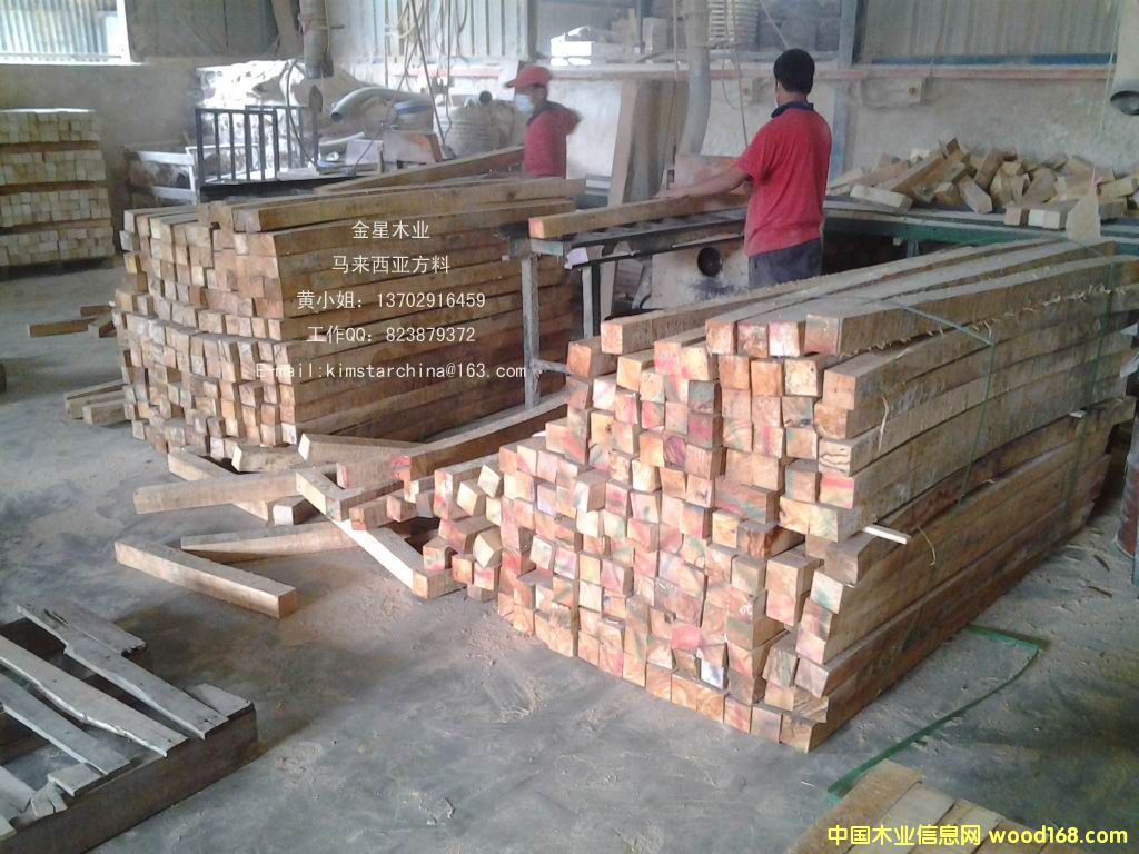 �M�����zľľ����Ԕ����B