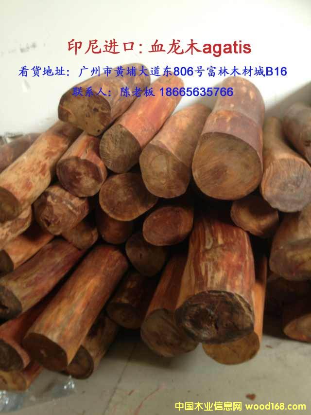 ӡ��Ѫ��ľ��Ԕ����B