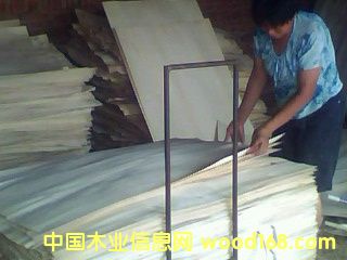 ��ľ�ΰ��Ԕ��(x��)��B