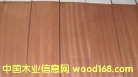 ɳ������Ԕ��(x��)��B