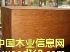 �c���鿴�͵�ľ�Ŵ�DƬ