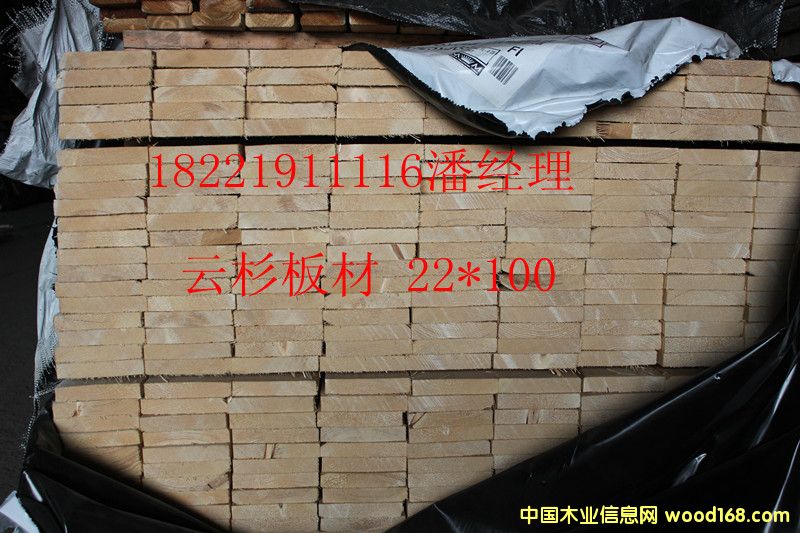 �c���鿴��ɼ�Ŵ�DƬ