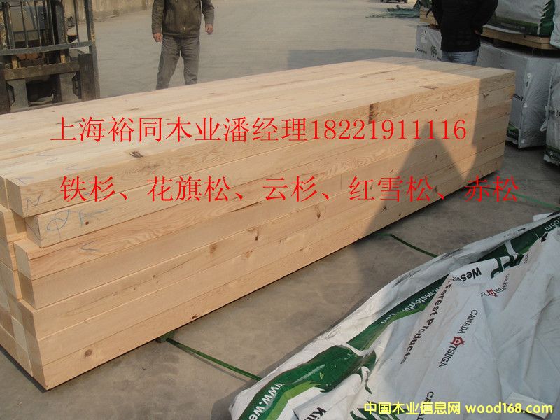 �c���鿴�Fɼ�Ŵ�DƬ