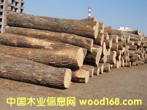 �c���鿴��ʲô��Ҫɭ���J�C���Ŵ�DƬ