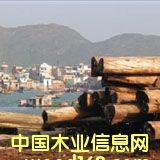 �c���鿴ɭ���J�C��ʲô���������������Ԕ���Y��