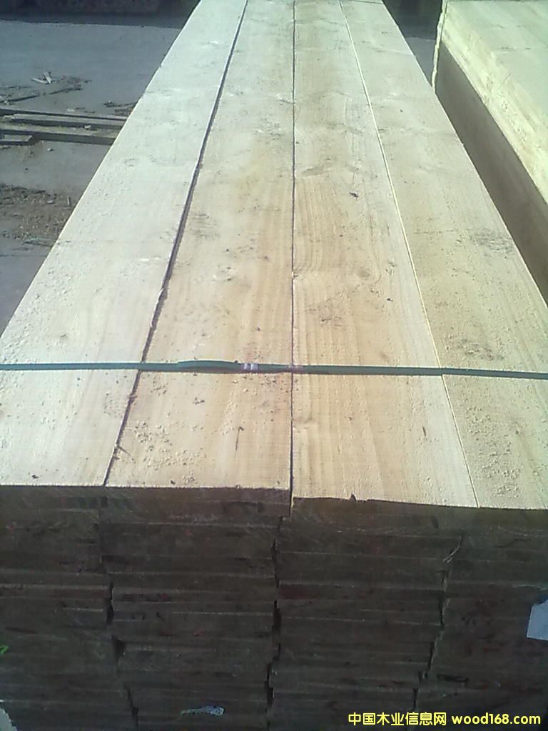 ݗ�����бP