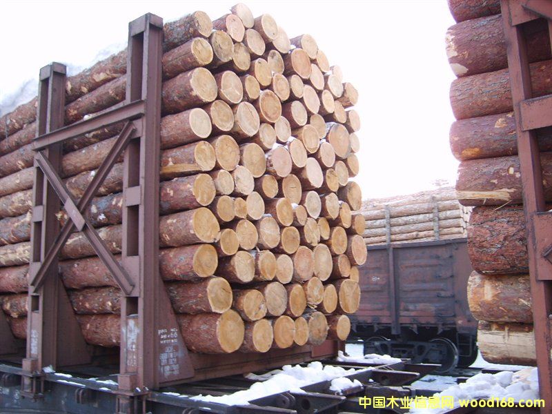 �����ɵ�Ԕ����B