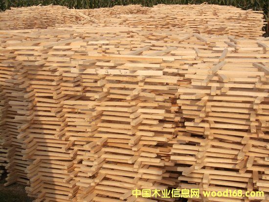 ��ľ����о��Ԕ����B