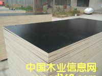 3*6��1��*2�׽�����Ĥ���Ԕ����B