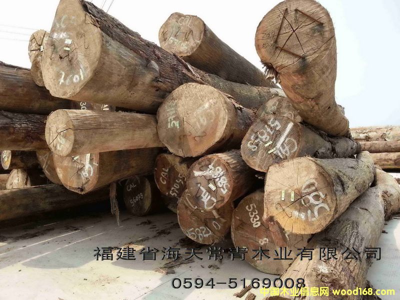 CAL���ǹ�/����ľ