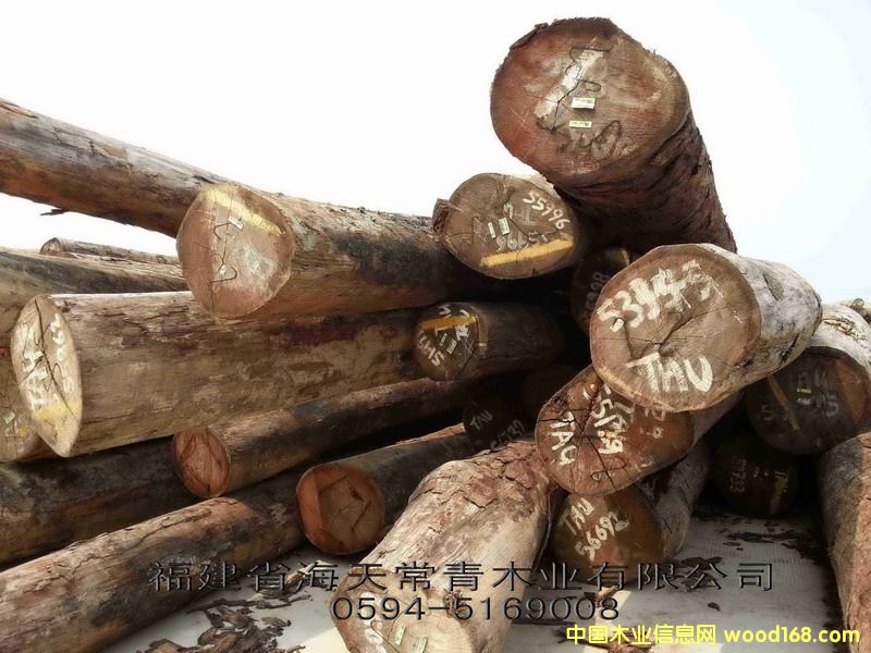 TAU��ľ/�����۵�Ԕ����B