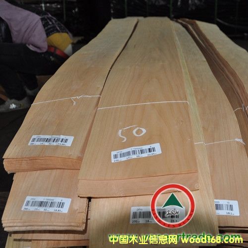 ���ҵ�Ԕ����B