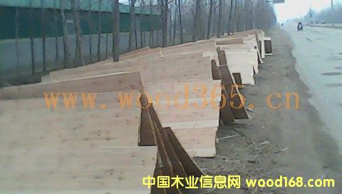 ͩľ�N����Ԕ����B