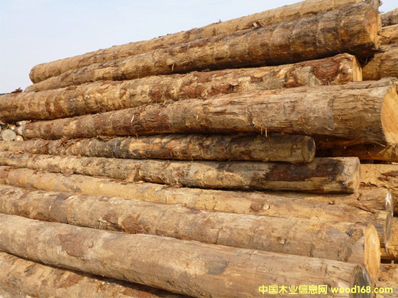 �Fɼ��Ԕ����B