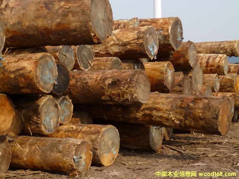 ���~�ɵ�Ԕ����B