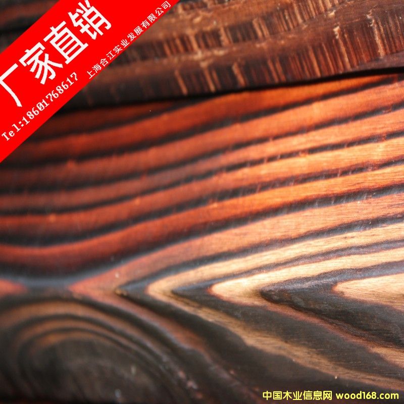 �c���鿴�Fɼ/�F��̿��ľ�Ŵ�DƬ