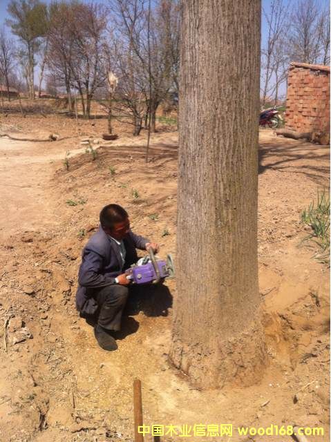 �ľԭľ��Ԕ����B