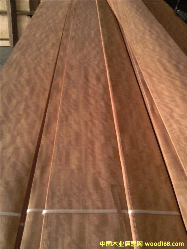 �������KӰ2��Ԕ����B