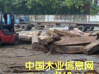 �@ʯ�t̴|�F����|��Ьľ|�p���Kľ|�S��|�����M�����P